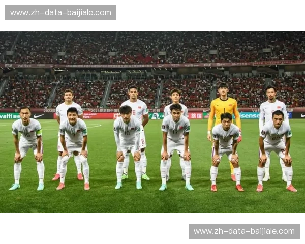 狂野之心：喀麦隆vs世界的终极博弈，不只是足球的咆哮